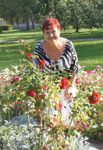 My photo - Galina, 69 from Ryazan (@galina9375)