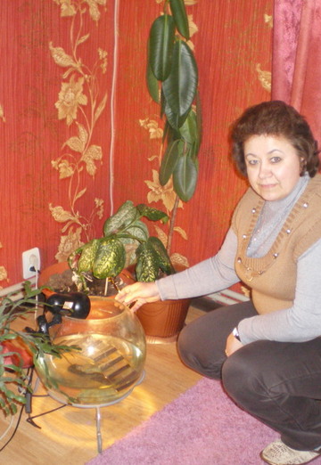 My photo - Svetlana, 58 from Dzerzhinsk (@svetlana86542)