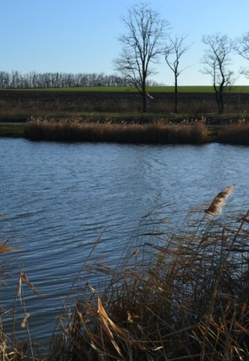 Aleks (@aleks6587716) — my photo № 7