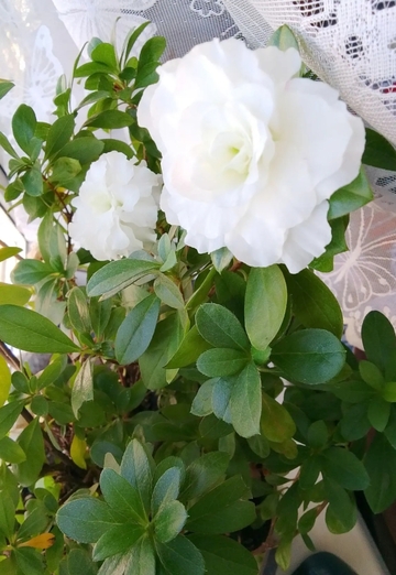 Natalya (@natalya394518) — my photo № 3