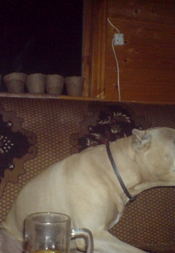 VIKTOR (@viktor2689) — my photo № 6