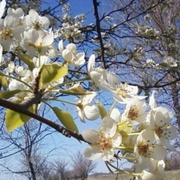 Александр, 63, Мужи
