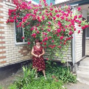 Татьяна, 68, Курсавка