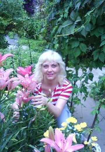 My photo - Natalya, 56 from Kolchugino (@karusel67)