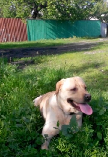 Vyacheslav (@vyacheslav31110) — my photo № 4