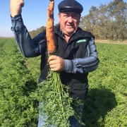 серг, 51, Донское
