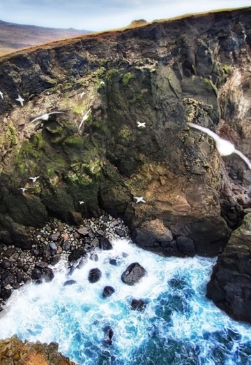 Elena (@elena60892) — my photo № 23