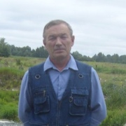 Николай, 68, Мураши