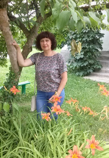 Моя фотография - Людмила, 57 из Отрадная (@ludmila58934)