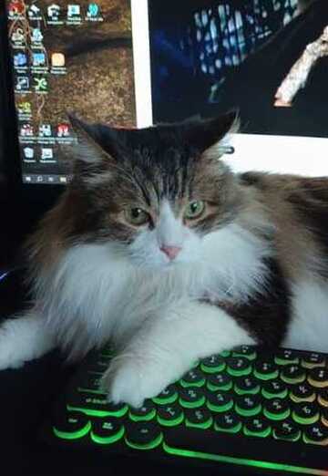 Lelik123 (@lelik12323) — my photo № 5