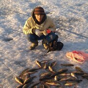 Алексей, 40, Дивногорск
