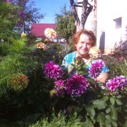 Светлана, 68, Ува