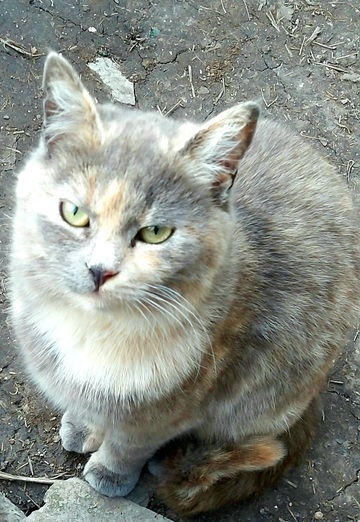 Serge (@serj32081) — my photo № 29