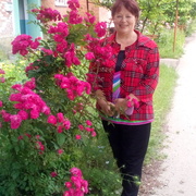 Любовь, 62, Хадыженск