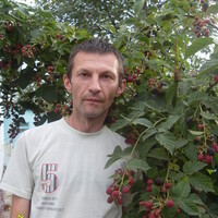 Андрей, 48 лет, Близнецы, Нижний Новгород