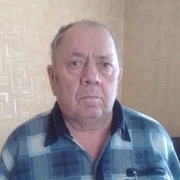 Виктор Фомин, 64, Березовский (Кемеровская обл.)