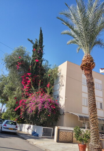 LEONID    Kipr (@ty2k2wbwic) — my photo № 83