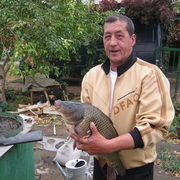 vadim, 62, Акбулак