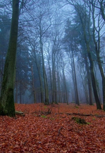 Elena (@elena60892) — my photo № 22