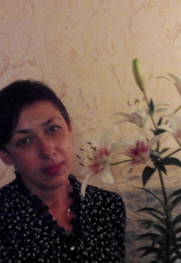 Моя фотография - Елена, 51 из Орехово-Зуево (@elena338817)