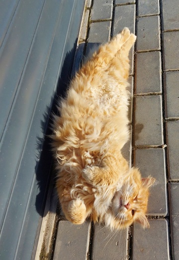 Serge (@serj32081) — my photo № 41