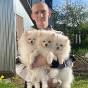 Дмитрий Поляков, 24, Родники (Ивановская обл.)