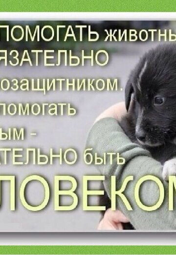 Olga (@olga377052) — my photo № 27