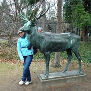 natali, 50, Ломоносов
