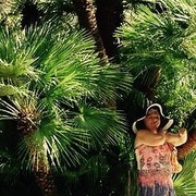 Тамара, 76, Обухово