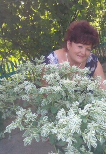 My photo - Lidiya, 66 from Bishkek (@lidiya7397)