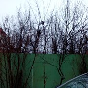 Олег (@oleg140) — моя фотография № 83