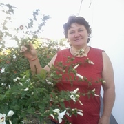 Ирина 52 года (Козерог) хочет познакомиться в Кривом Озере