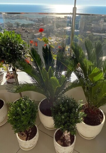 Roman (@zelenaya-krovlya) — my photo № 12