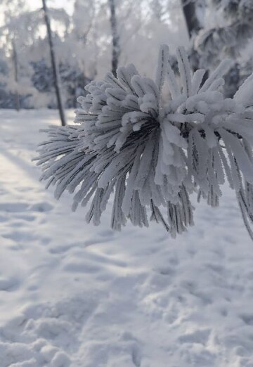 Natalya (@natalya394518) — my photo № 5