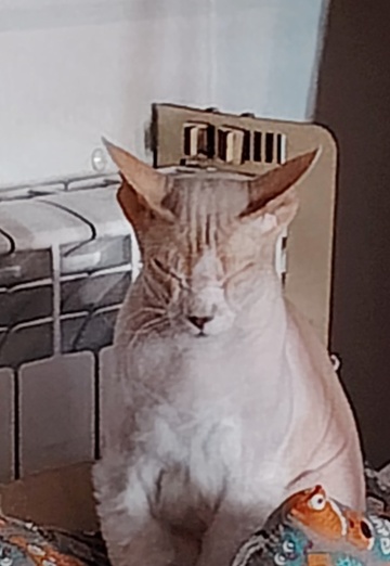 🍃🌺Nataliya 💖🦊 (@nataliya43937) — my photo № 12