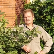 Сергей Томилов, 52, Дубки
