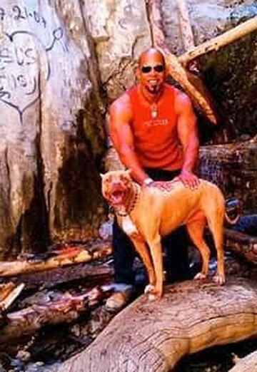 Sol (@shane263) — my photo № 11